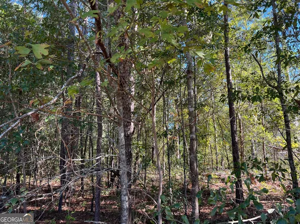2125 N Highway 441 Byp, Dublin, GA 31021