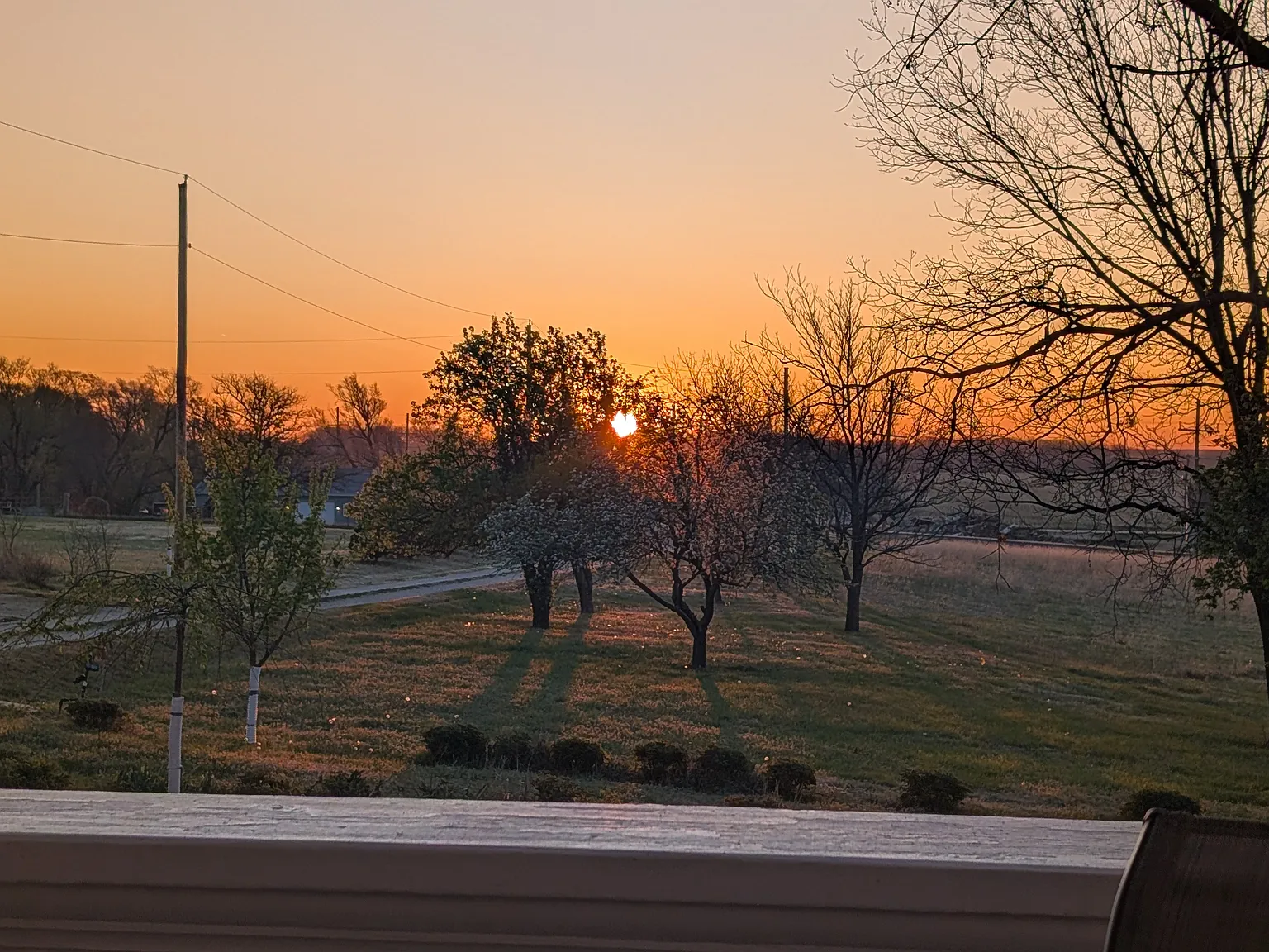1 bed, 550 sqft, $900 — Photo 2