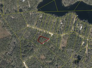 1461 SE Pine Tree St, Branford, FL 32008