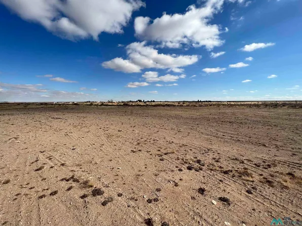 S Of 9779 Hope Highway Rd, Artesia, NM 88210