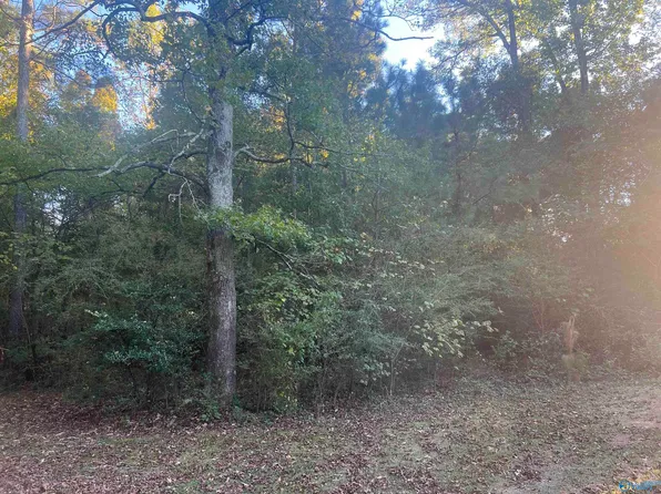 5 County Road 79, Centre, AL 35960