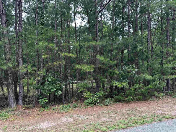 LOT 87 Cobalt Bay Dr, Shirley, AR 72153