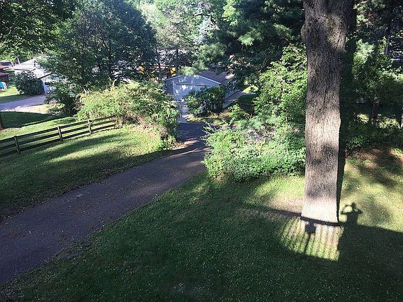 Back Yard & driveway