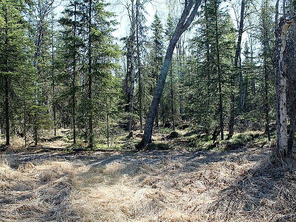 3rd image of Town Road 3 Gillnet Avenue Nikiski N
