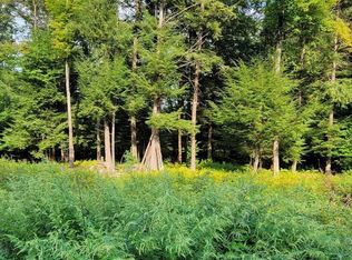 0 Bliss Gulf Rd, Oneonta, NY 13820