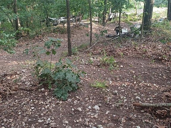 5th image of 1267 Brushy Fork Rd