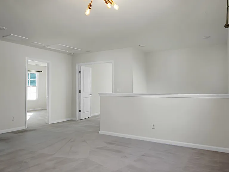 215 Catawba Branch Way — Photo 24
