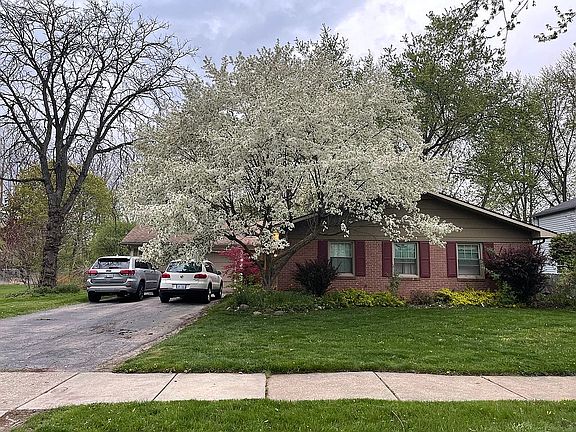 Front yard in bloom