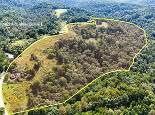 4184 Red Hill Rd, Livingston, KY 40445