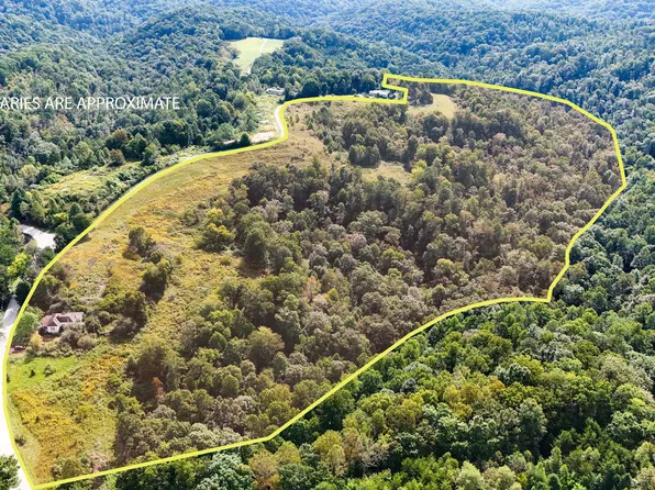 4184 Red Hill Rd, Livingston, KY 40445
