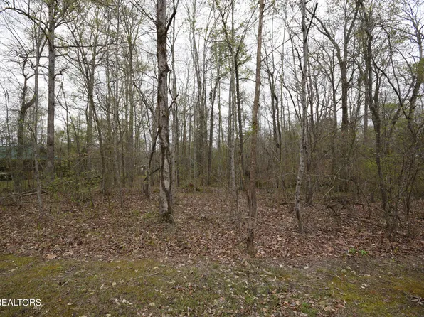 0 W Rockwood Ferry Rd, Ten Mile, TN 37880