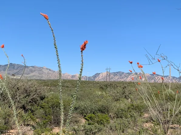E Dragoon Ranch Rd #215, Saint David, AZ 85630
