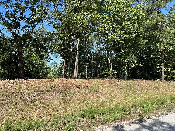 3rd image of 0 Old Skyline Dr Lot 205