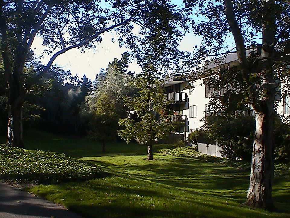 1st image of 5155 Shelter Creek Ln