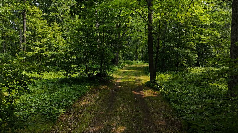 1st image of Mann Rd