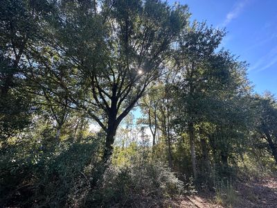 PARCEL Melton Rd #B, Baker, FL, 32531