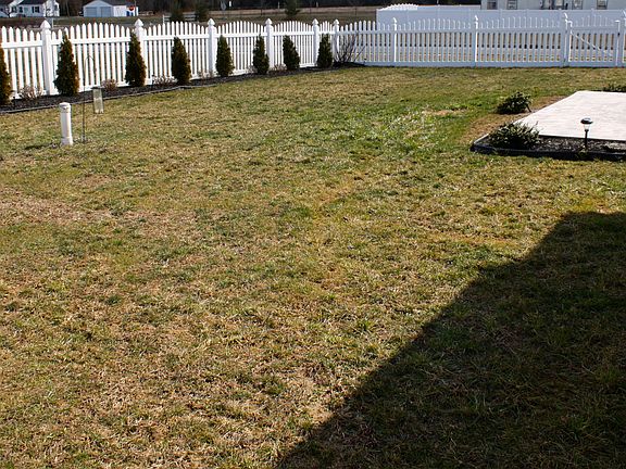 Rear Yard