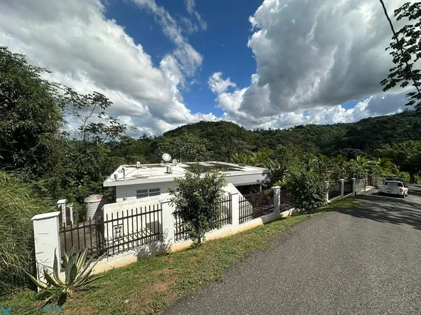 Corcovado Anasco Carr #Home 16.1, Anasco, PR 00610