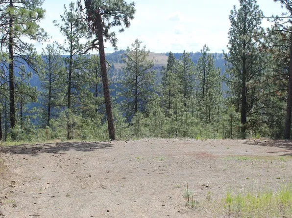Badger 4 Sontag Ridge Ln, Davenport, WA 99122