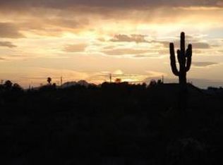 37 239th Ave #503-86-002S, Morristown, AZ 85342