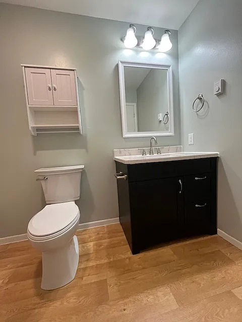 303 Birch Street — Photo 4