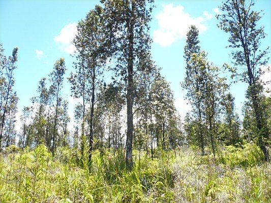 2nd image of Road 8 Moho Lot 4954