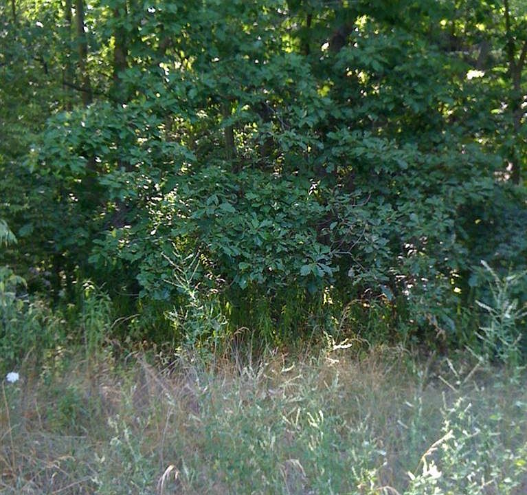 2nd image of Browntown Rd