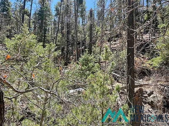 5th image of 198 Trumble Canyon Rd