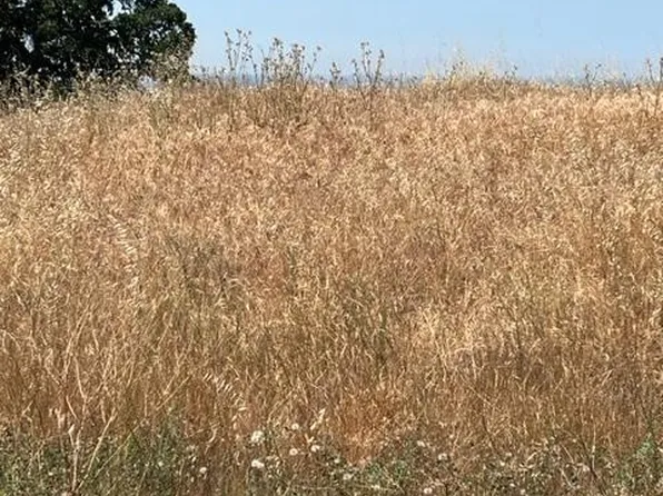 9738 Picadero Way, La Grange, CA 95329