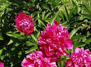 1207 Drey St, Arnold, PA 15068