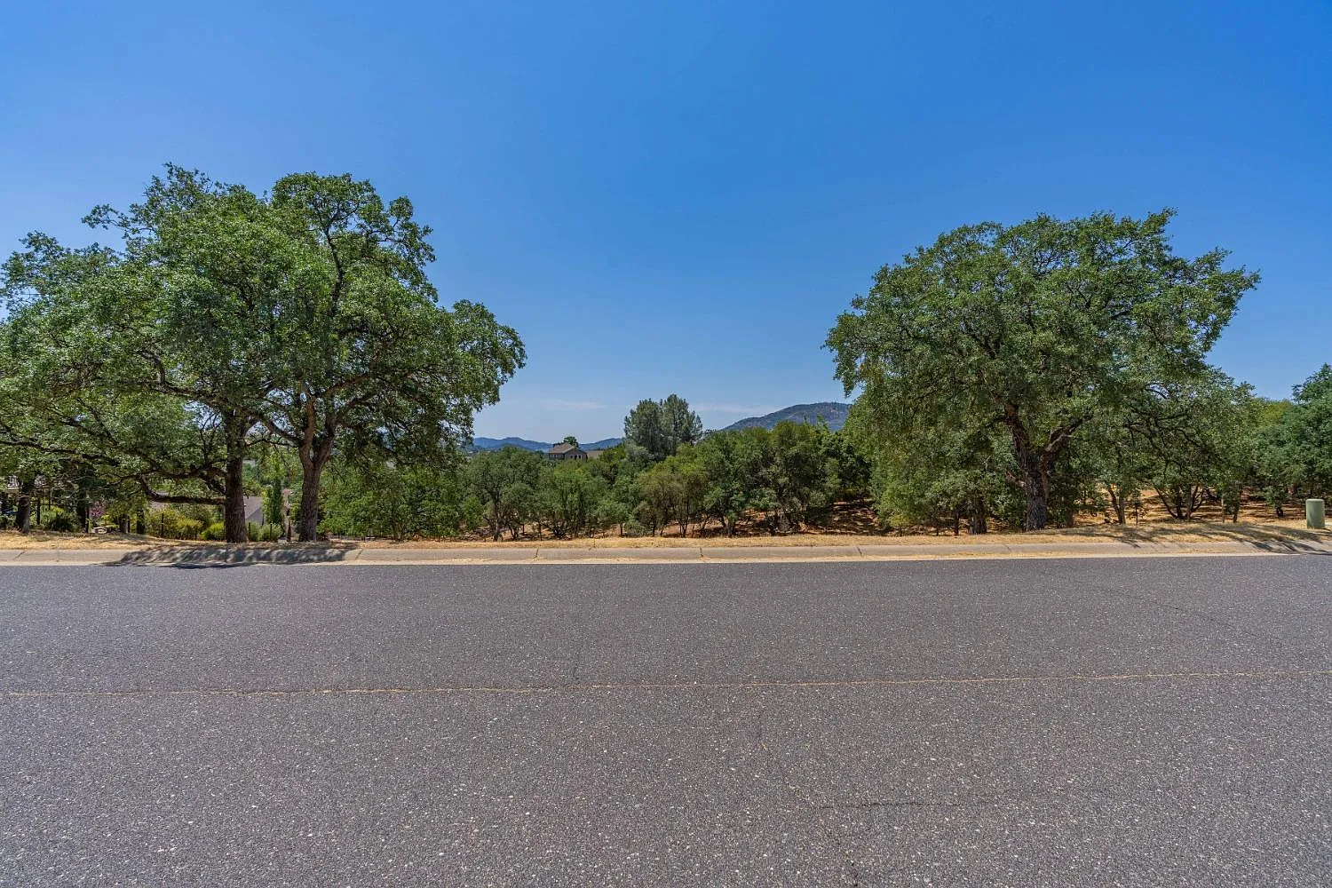700 Live Oak Dr photo 1
