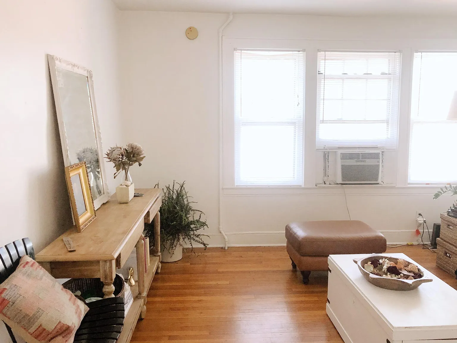 1 bed, $1,000 — Photo 4