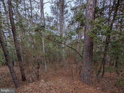 38644 Van Ward Rd, Abell, MD, 20606