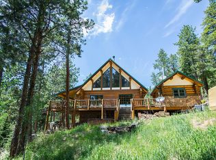 356 Lionsbrooke Ln, Pine, CO 80470