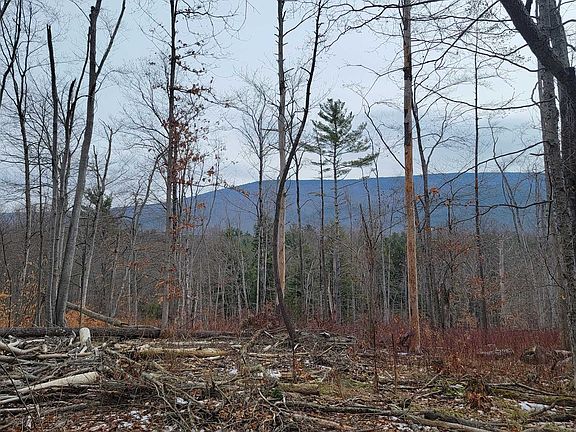 4th image of 2041 East Road