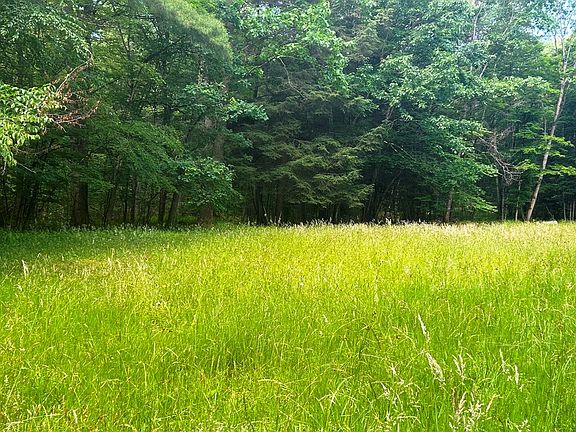 5th image of 0 Turkey Creek Ln