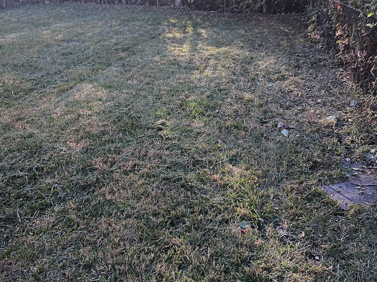 2 bed, 720 sqft, $950 — Photo 4