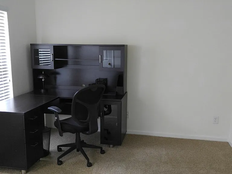 3528 Twisted Tree Ln — Photo 11