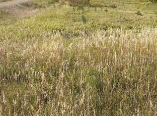 LOT 1 166th St, Dresser, WI 54009