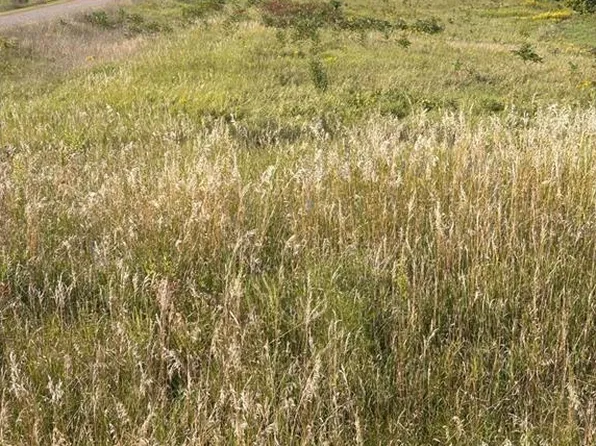 LOT 1 166th St, Dresser, WI 54009