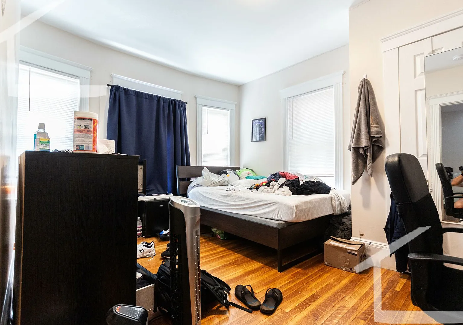 "Meow" included with apartment! — Photo 4