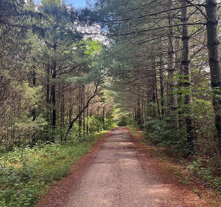 2nd image of 0 Juniper Rd