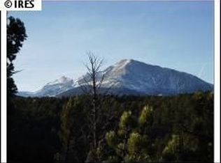 303 Old State Highway 7, Allenspark, CO 80510