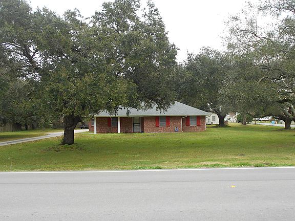 Mature oaks