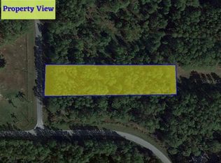 LOT 250 Florida Jay Ln LOT 250, Frostproof, FL 33843