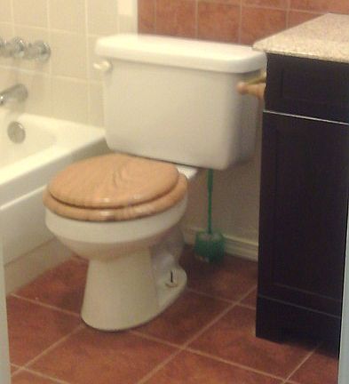 Hall Bath with new vanity