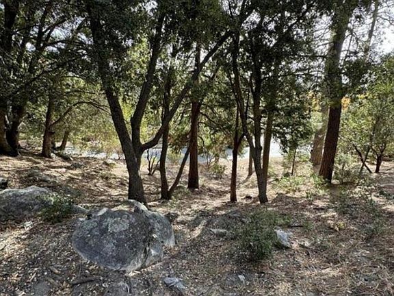 5th image of 53642 Jeffrey Pine Rd