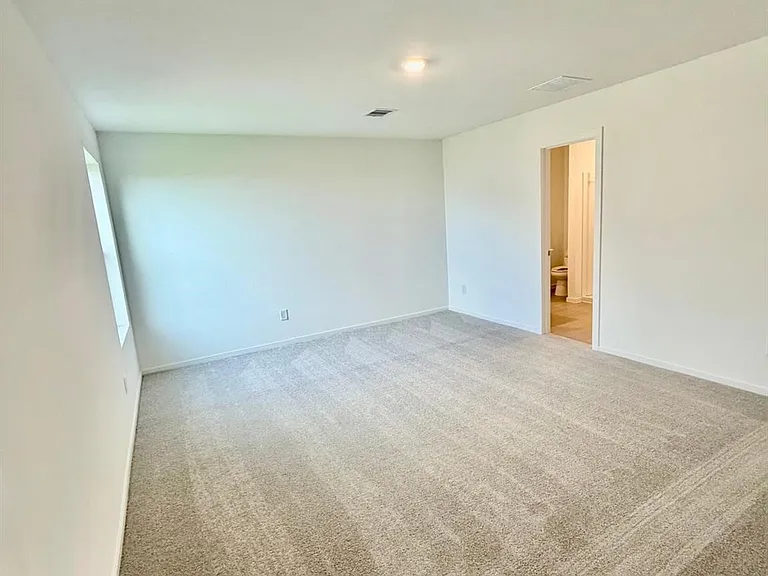 28807 Golden Wheat Ct — Photo 9