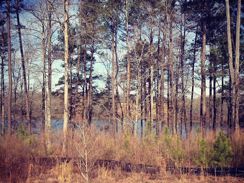 2nd image of Bear Paw Court