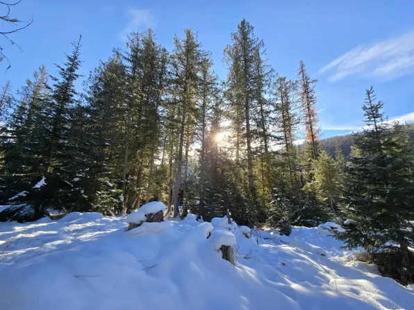 226 Cedars Dr, Troy, MT 59935